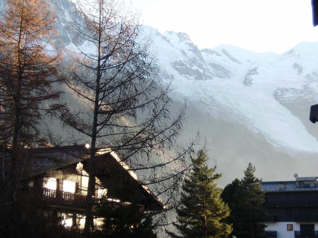 Studio Les Drus / Studio Du Brevent Apartment Chamonix Exterior photo