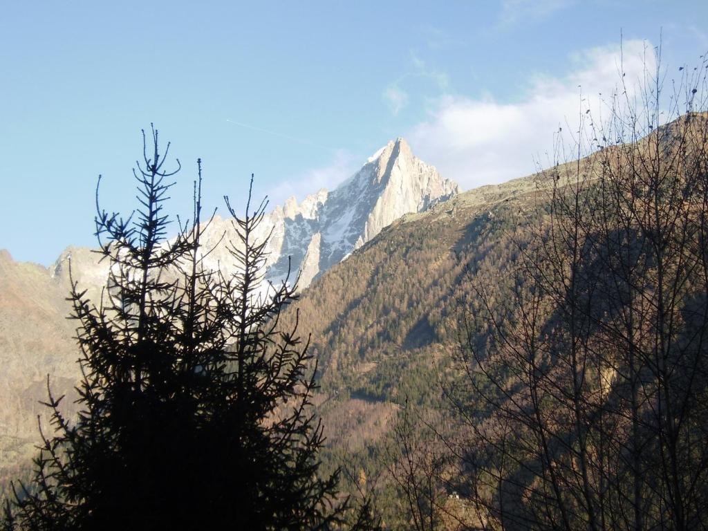 Studio Les Drus / Studio Du Brevent Apartment Chamonix Room photo