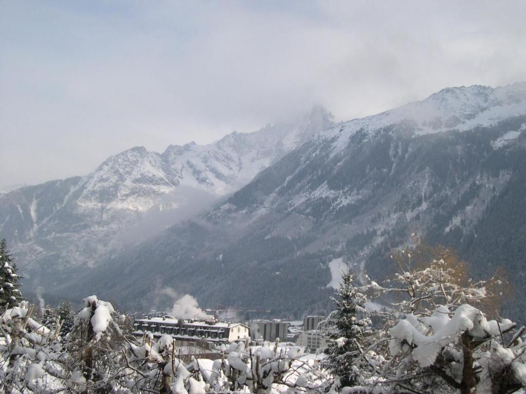 Studio Les Drus / Studio Du Brevent Apartment Chamonix Room photo