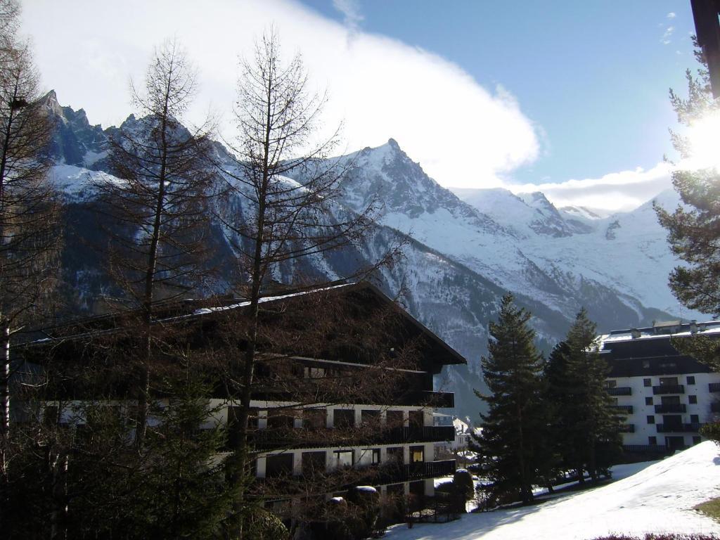 Studio Les Drus / Studio Du Brevent Apartment Chamonix Room photo